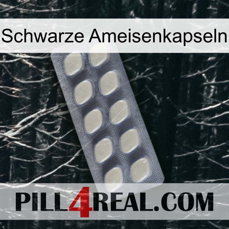 Black Ant Capsules 08